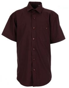 Школьная рубашка Tsarevich, прямой силуэт, на пуговицах, короткий рукав, карманы, размер 152-158, красный, бордовый